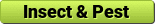 Insect and Pest