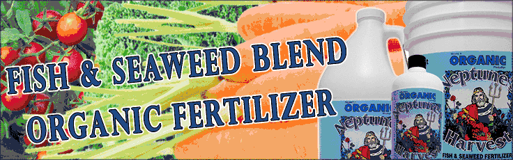 Slide Show Promo Banner