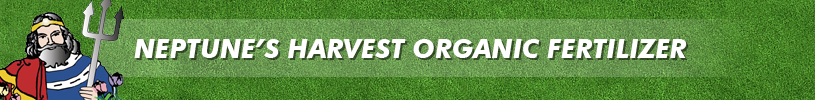 main logo