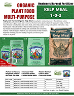 kelp meal slick