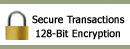 Safe & Secure Online Shopping at SeasonsTrading.com - 128-Bit SSL Encryption