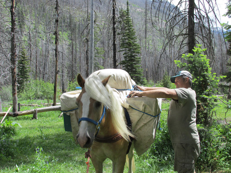 packsaddle