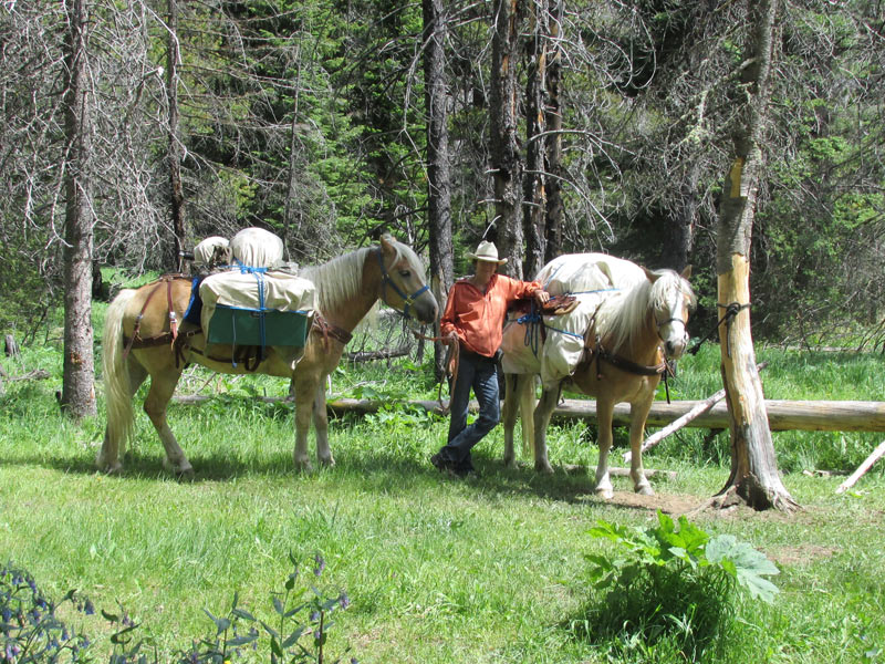 packsaddle