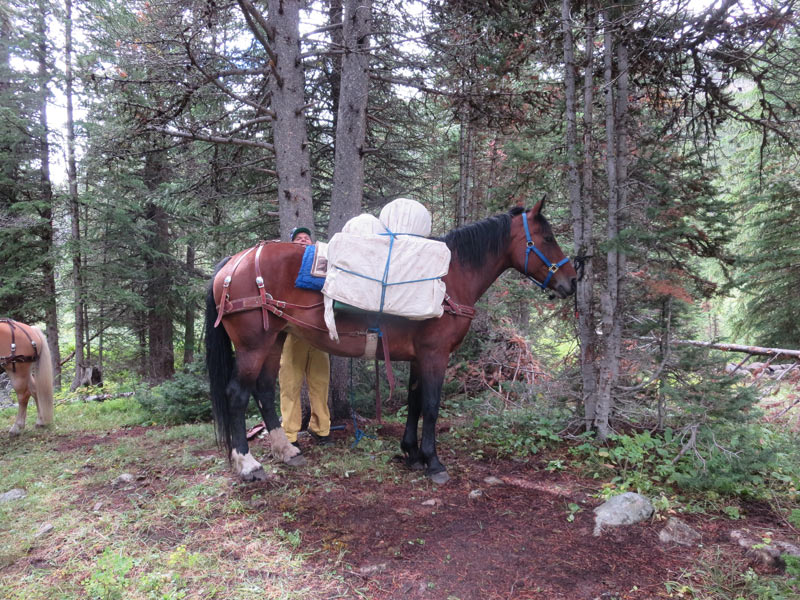 packsaddle