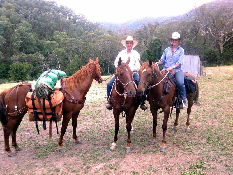 Pack Animals
