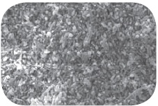 CN1000 Grade Description