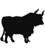 Bull 01-0152