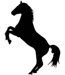 Horse 01-0244