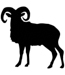 Ram 01-0289