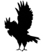 Attacking Eagle 01-0532