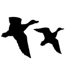 Flying Ducks 01-0563