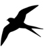 Swallow 01-0610