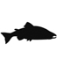 Salmon 01-0998