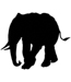 Elephant 01-1138