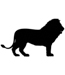 Lion 01-1269
