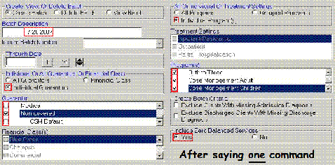 Image of screen before and after saying a Speech Gurus' command 