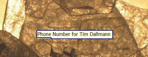Image of Phone Number retrieval command