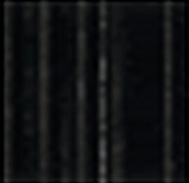 black rib