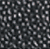 gray pebble