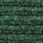 green-sr