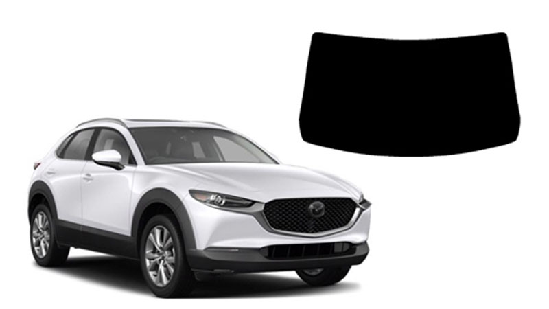 Full windshield tint kit