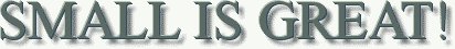 small is great logo