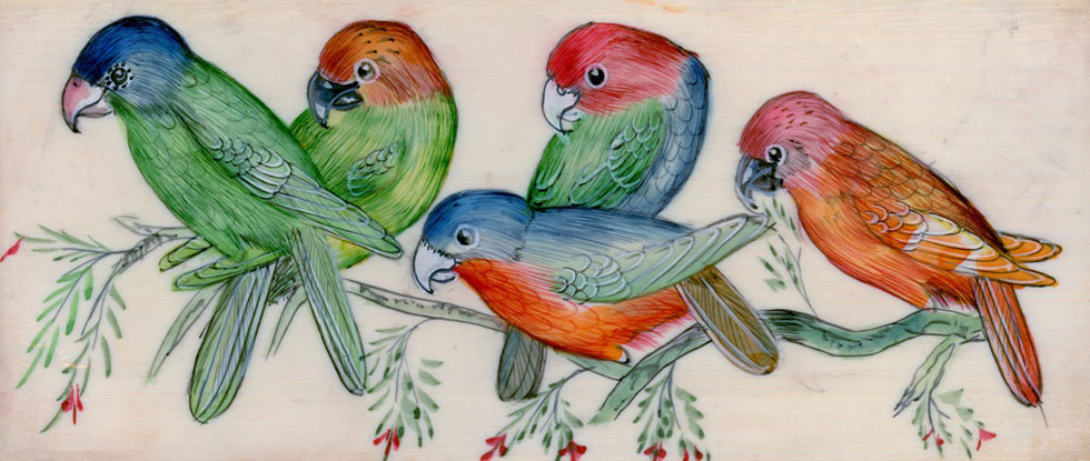 Birds