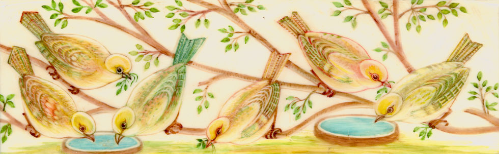 Birds