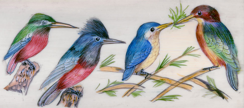 Birds