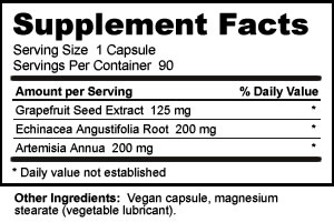 GSE 125 mg  Capsules Plus - 90 Capsules