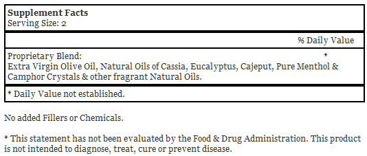 Sen Sei Menthol Rub Ointment 2 oz. - Dr. Christopher's