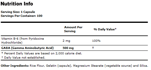 GABA 500 mg + B-6 2 mg - 100 Capsules, gaba supplement, NOW Foods