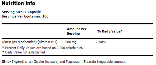 Niacinamide B-3 Supplement 500mg