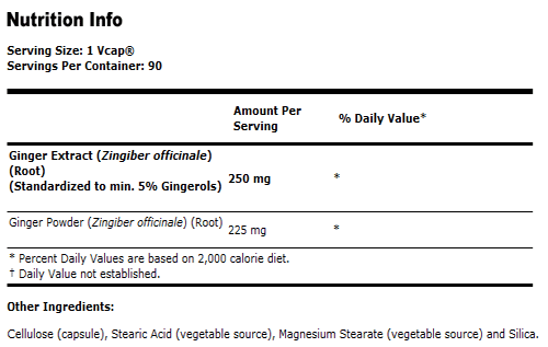 Ginger Root Extract 250 mg