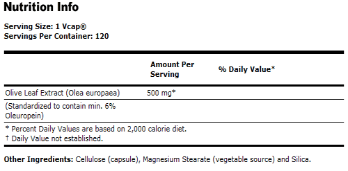 Olive Leaf Extract 500 mg Vegetarian