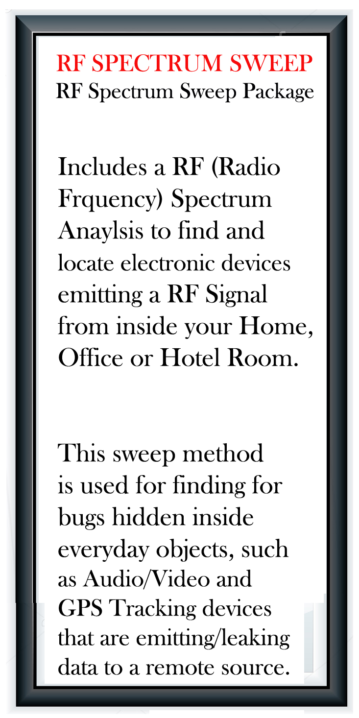 AES Spy Cameras