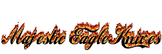 grandopening HEIGHT=