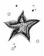 Starfish