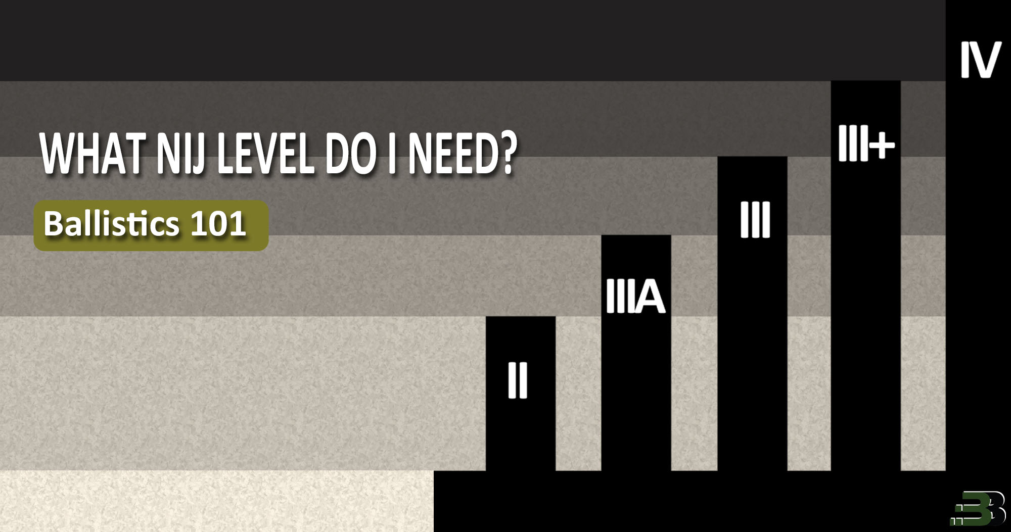 What NIJ Level Do I Need